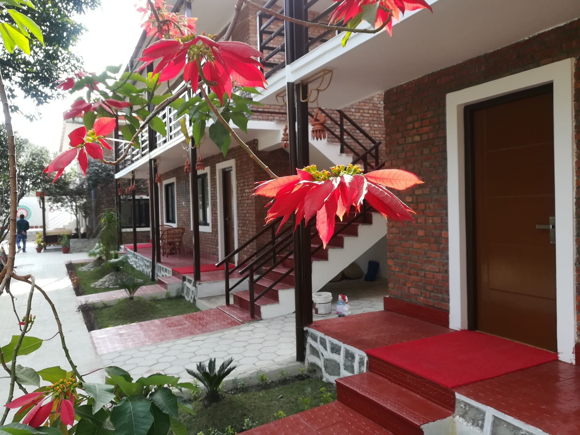 尼泊尔小屋酒店 加德满都 外观 照片